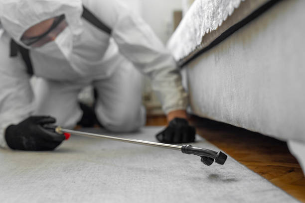 Professional Bed Bug Control technician working in Orfordville, WI