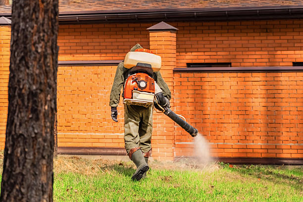 Trusted Rodent Control service in Orfordville, WI - Nex Pest Control